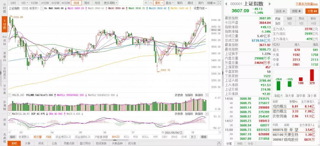 杨德龙：大力推动中长期资金入市 提高资本市场稳定性和可投资性